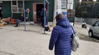 Ялта Васильевка!