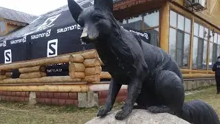 MadFox 2019 K10 Как это было...