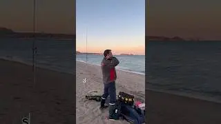 Angeln am Badestrand, geht das 🎣❓️#shorts #angeln  #surffishing