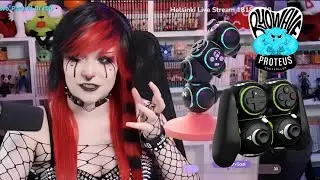REAL Accessibility for Gamers! Byowave Controller