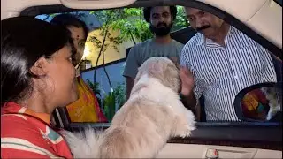 அம்மா அப்பாவை விட்டு போறது ரொம்ப கஷ்டம் தான்| Gowti Sowbi Vlogs❤️