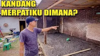 BONGKAR SEMUA KANDANG MERPATIKU