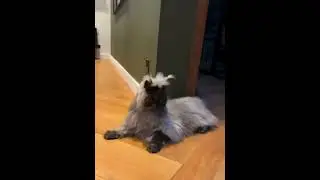 Девочка плакса