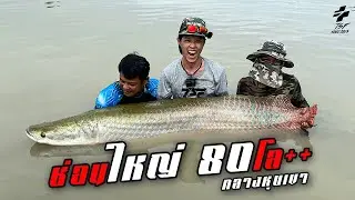 อัดช่อนยักส์ หนัก 80โล กลางหุบเขา  Jurassic Mountain Resort & Fishing Park (Cha-am)
