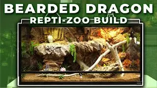 DIY Reptile Enclosure For Bearded Dragon!!!