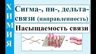 Направленность (сигма-, пи-, дельта-связь) и насыщаемость химической связи.
