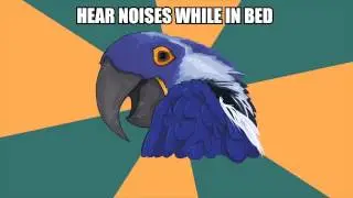 NOISES - Paranoid Parrot