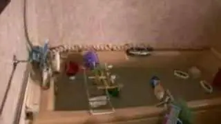 Cool Domino Trick