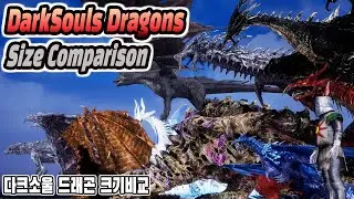 DarkSouls Dragons Size Comparison (다크소울 드래곤 크기 비교) (feat. solaire)