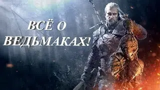 Ведьмаки - кто они и с чем их едят! - Игровой ликбез #1