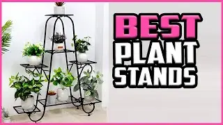 Top 5 Best Plant Stands in 2023 reviews✅ Buying guide