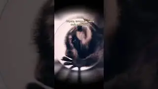 Вот она — зарплата на региональном ТВ😅 