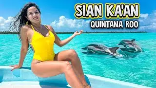 The VIRGIN PARADISE of the Riviera Maya Mexico: Sian Ka’an 🐬🐢🇲🇽 Quintana Roo