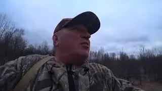 Another one. Woodcock hunting 2024 04 05