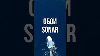 Искусство преображения стен с коллекцией Sonar