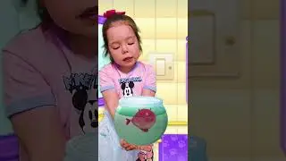 Котик Bubbu потерял свою рыбку и ищет 