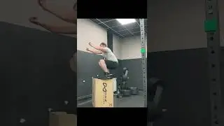 Спорт сила