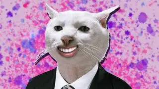 мистер стример