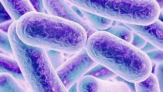 Superbug may lead to new methods for fighting resistance