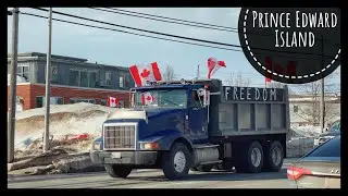 VLOG #170 / Freedom Convoy на Острове Принца Эдварда / Впечатления о новой работе / Февраль 2022
