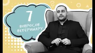 7 вопросов ветеринару