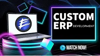 Custom ERP Development