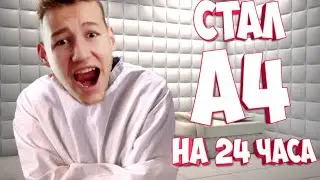 СТАЛ А4 НА 24 ЧАСА