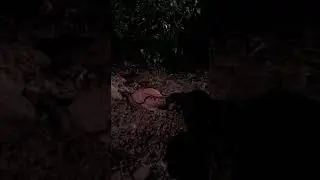Miimaland(3)