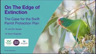 On the Edge of Extinction: The Case for the Swift Parrot Protection Plan