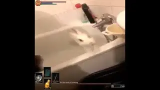 Don't worry, I got this npc under control!