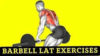 7 Best Barbell Lat Exercises For Wider Back
