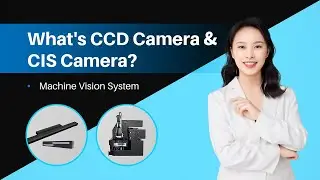 What is CCD&CIS Camera for Machine Vision System/Vision Positioning/AI Camera Visual/New UV Printing