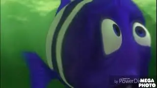I Killed Barracuda Attack