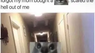 Enemy except it’s very random images from my camera roll