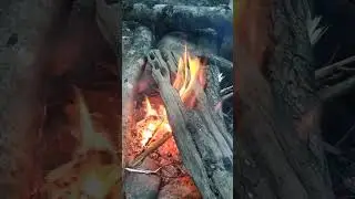 поход на р.Черная Севастополь.Костер.Атмосферно🔥🔥🔥со звуком🙌
