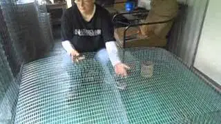 Homestead Rabbits: Building Rabbit Cages Part II