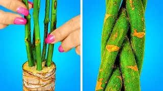 Simple Tricks To Grow Plants And Cool Gardening Hacks