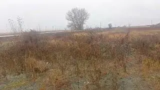 Ам жалау ❤️ жауын күнгі сікісу