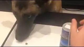 Ну и гад же ты, хозяин!
