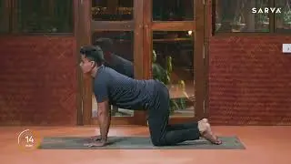 Dynamic Strength Flow
