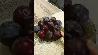 кислая слива