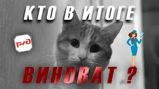 Из-за кого погиб Твикс????