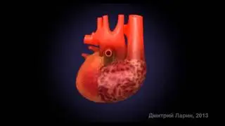190. Беталок