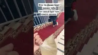 описание съел ютуб