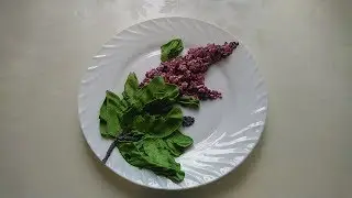 ВЕТКА СИРЕНИ ИЗ КРЕМА НА ТОРТ