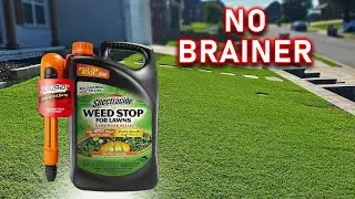 This Is The Best Weed Killer For Lawns // Spectracide Weed Stop For Lawns Plus Crabgrass Killer