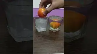 EXPERIMENT WITH TOMATO🤯|| WAIT FOR END 😱|| #experiment #shorts #scienceexperiment #viral #viralshort