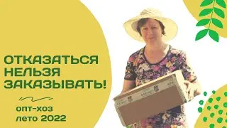Соблазнились на скидку 30 процентов! Распаковка саженцев от Опт-Хоз с ОКС