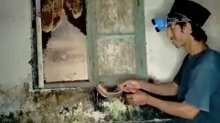 BERBURU TAWON MADU LIAR DI RUMAH KOSONG