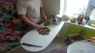 Корм для клариевого сома своими руками